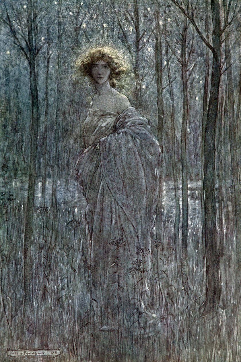 A Midsummer Night