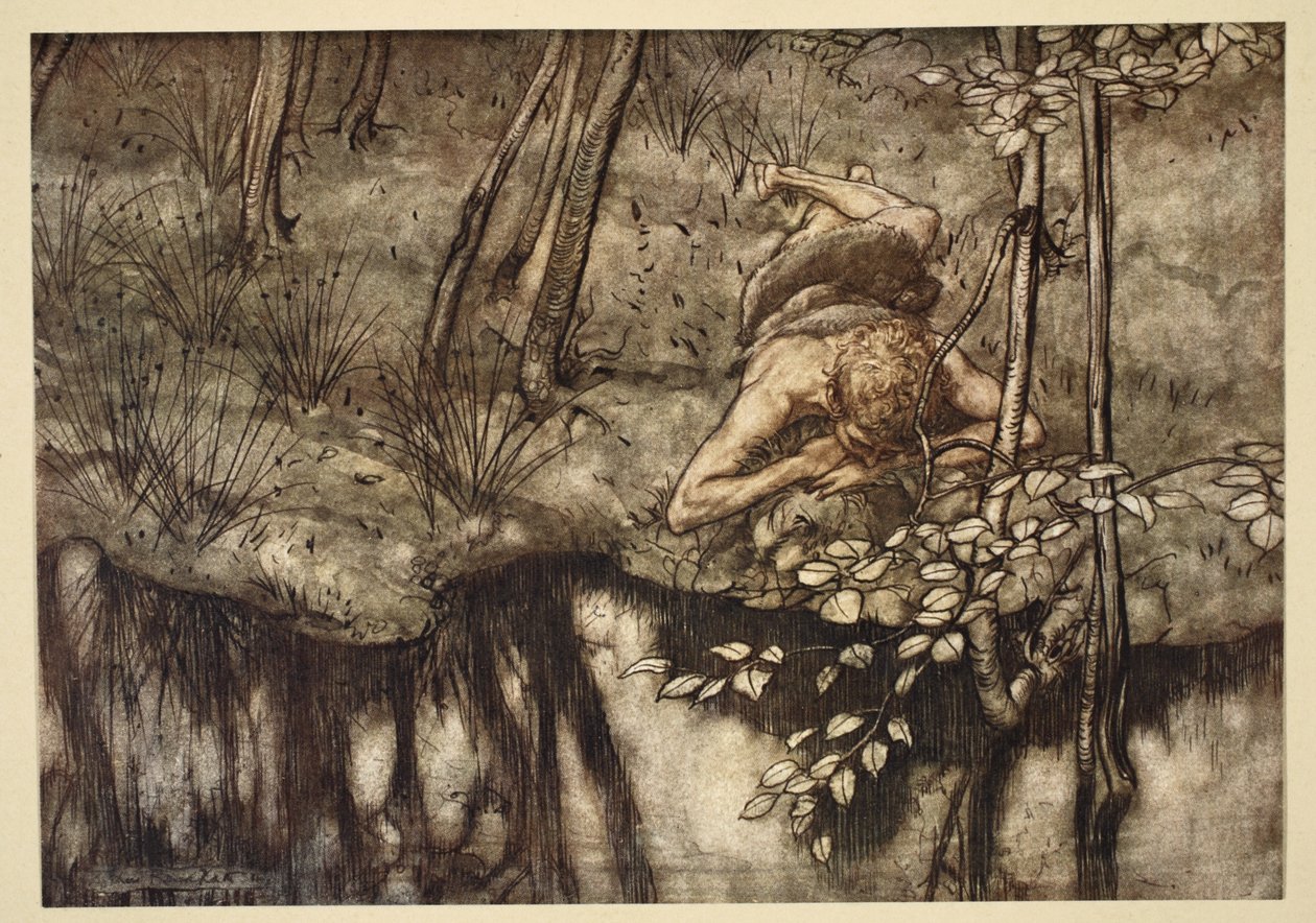 Siegfried sees himself in the stream, illustration from 