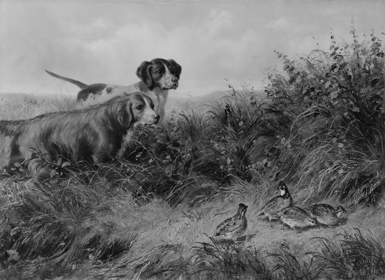 On Point, 1874 by Arthur Fitzwilliam Tait