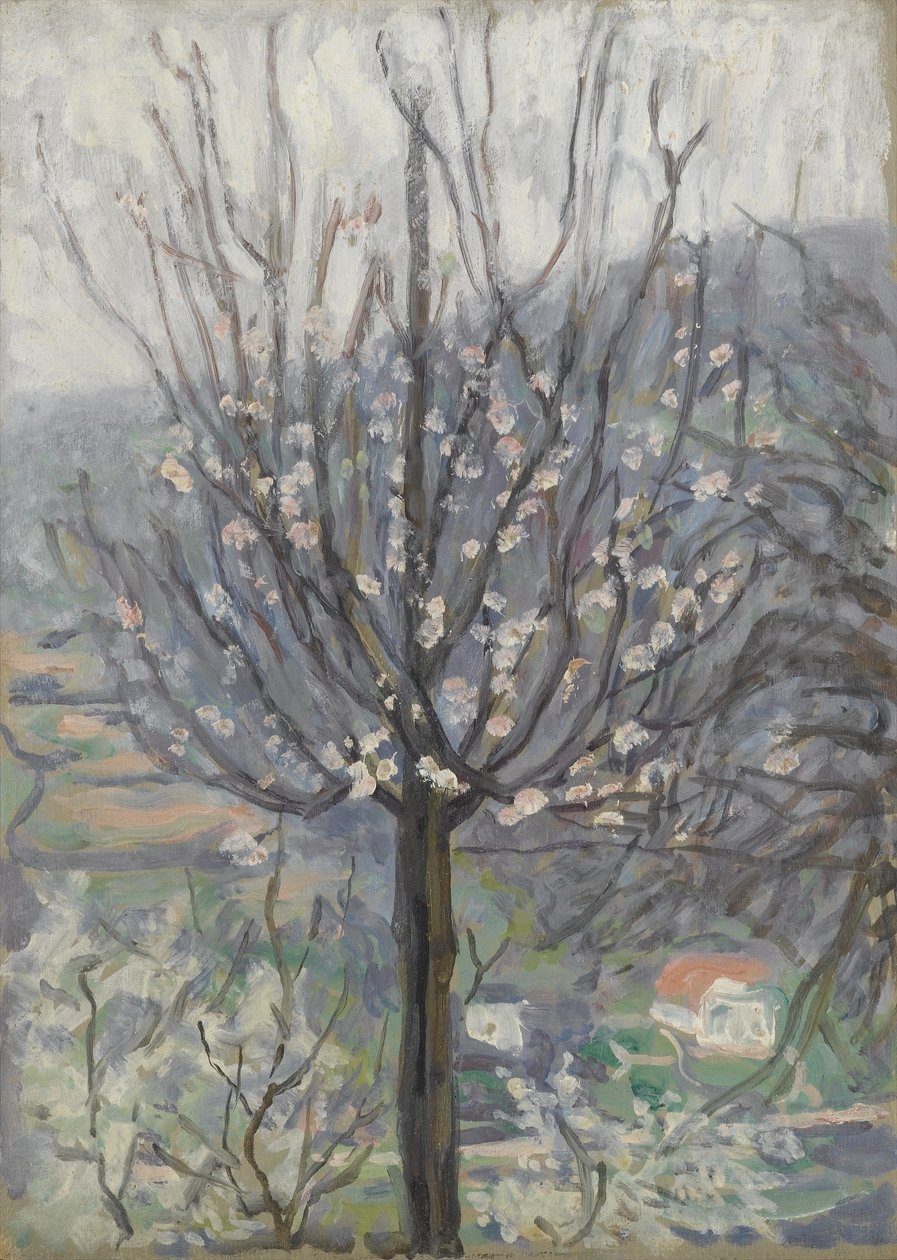 Blossom, Early Morning by Arthur Haythorne Studd