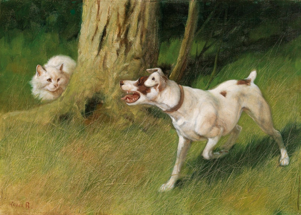 Dog and Cat by Arthur Heyer