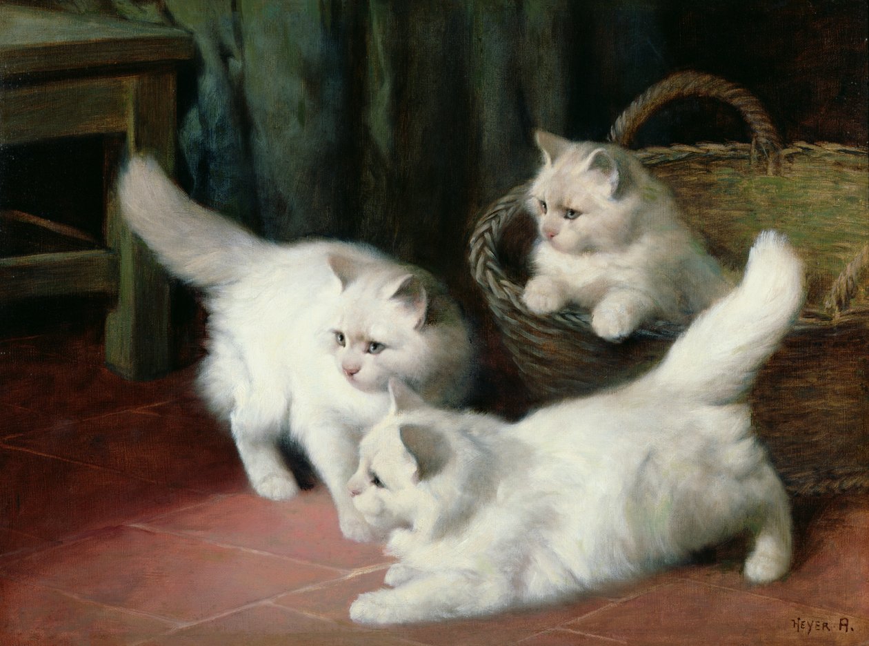 Three White Angora Kittens by Arthur Heyer