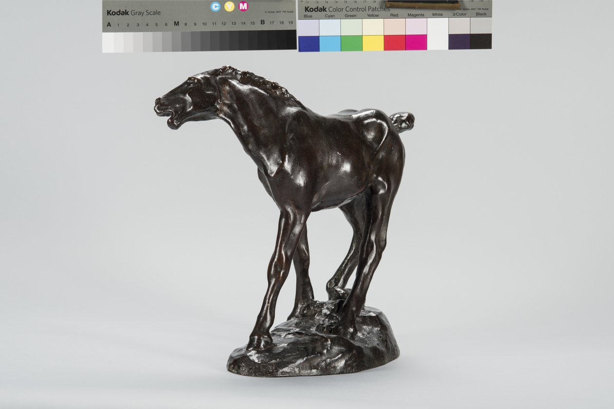 Colt by Arthur Putnam