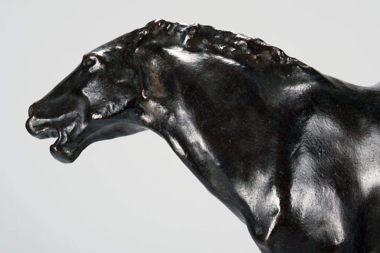 Colt by Arthur Putnam