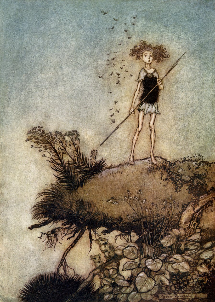 A Midsummer Night