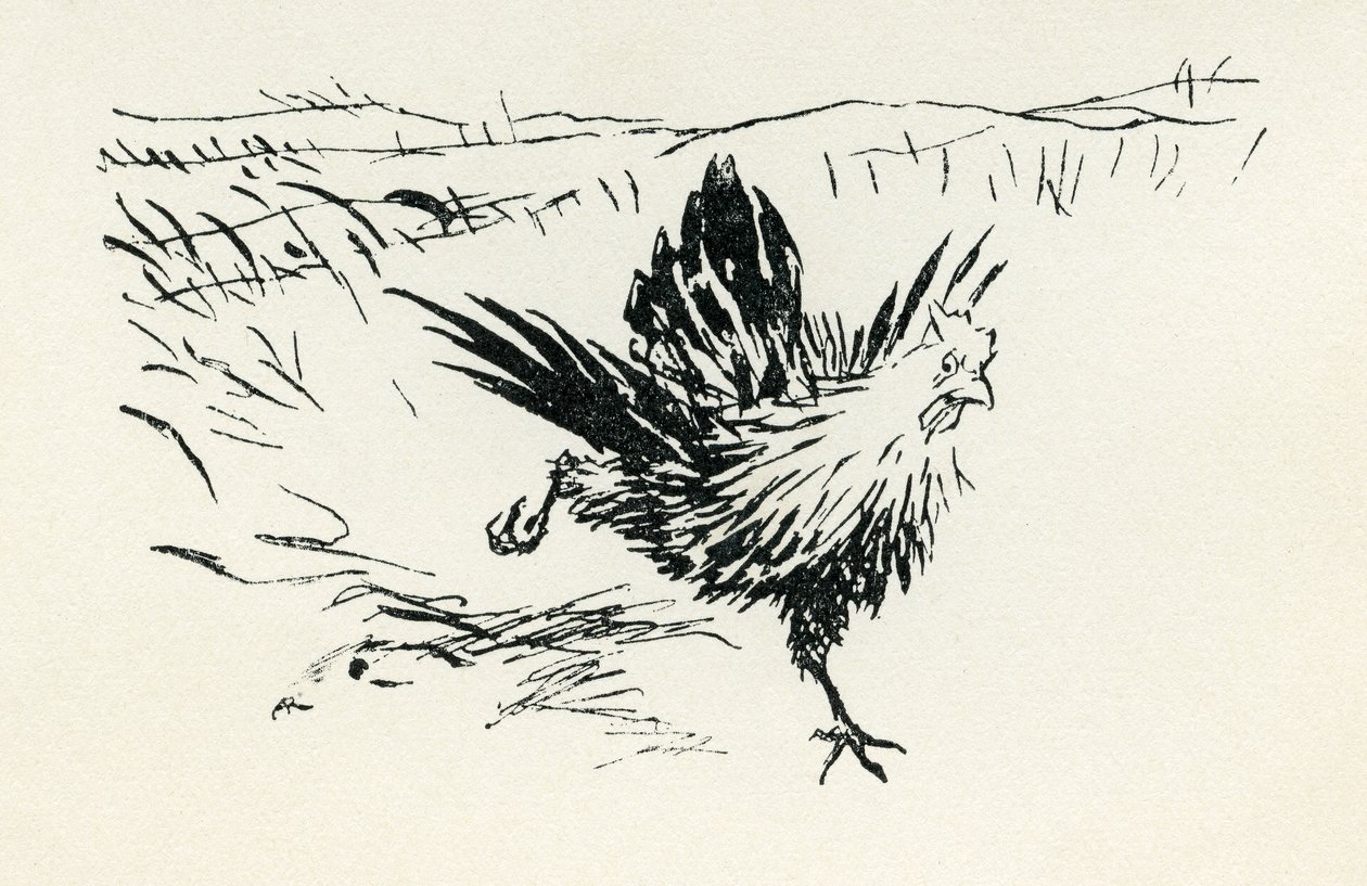 Henny-Penny by Arthur Rackham