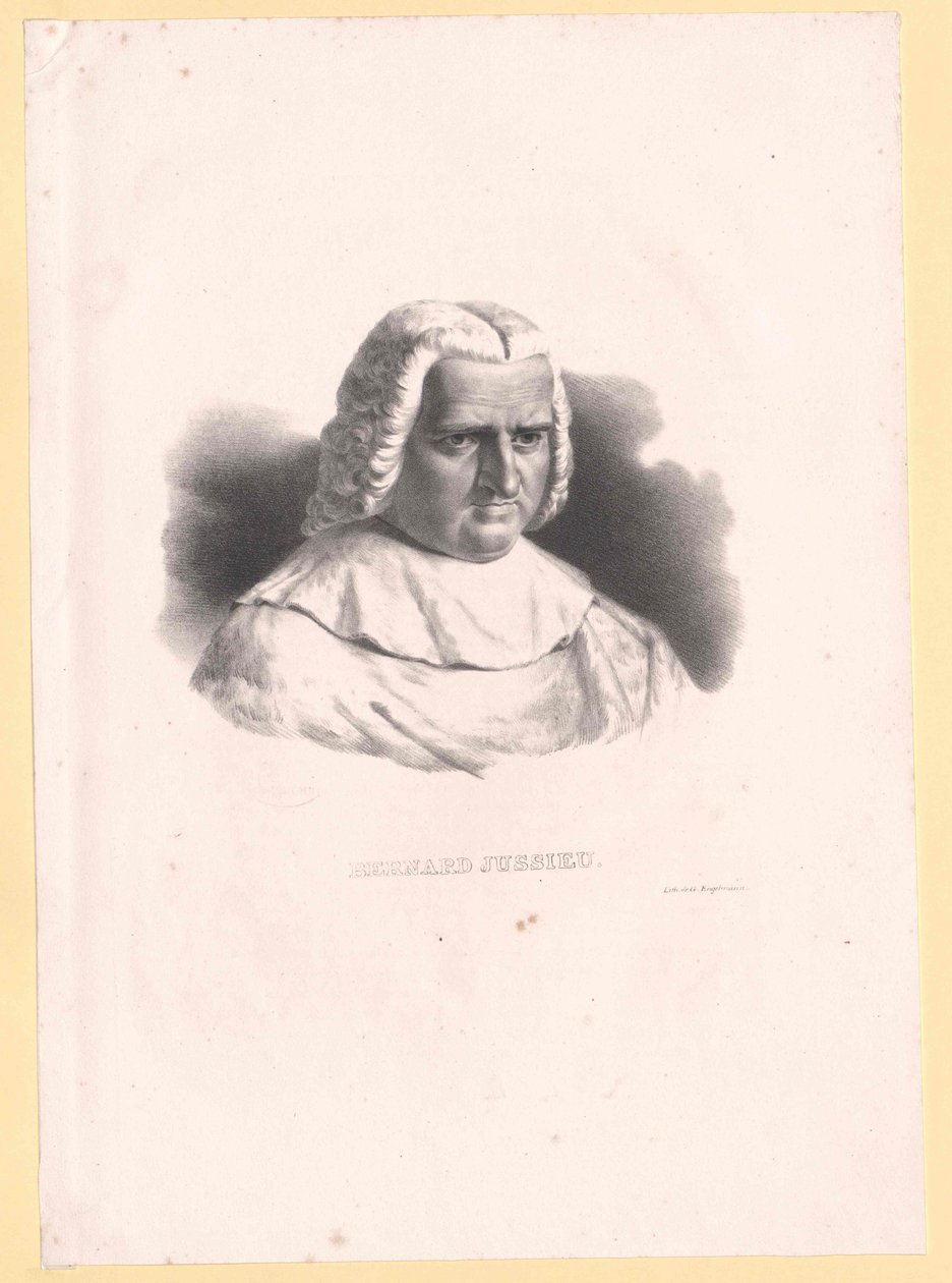 Bernard de Jussieu by Artist Unknown