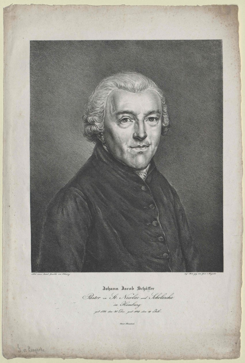Johann Jakob Schaeffer by Artist Unknown