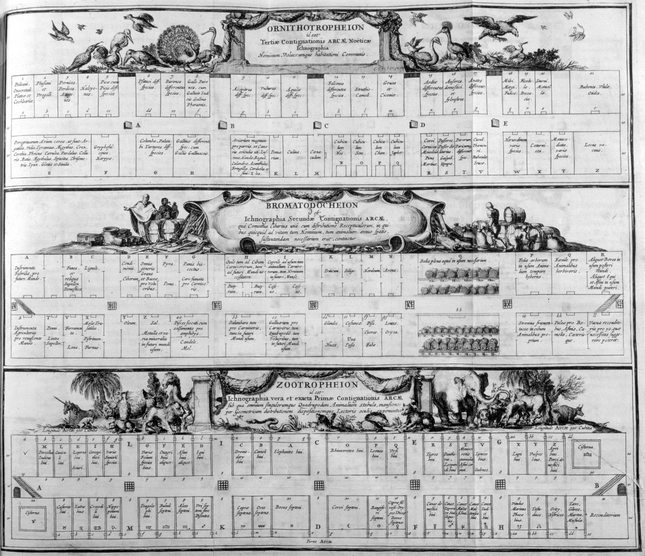 Table of the Species, 1765 by Athanasius Kircher