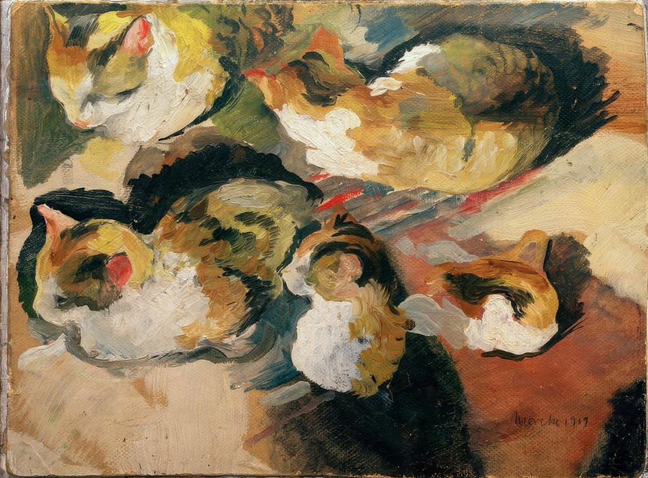 Studies of Cats by August Macke