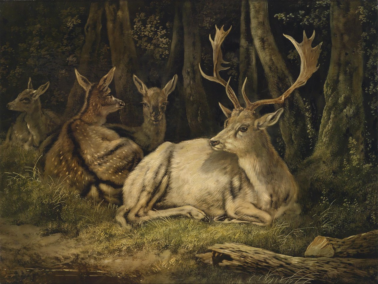 Fallow Deer by August Schleich