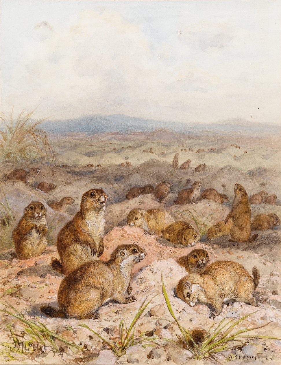 Marmots at their Burrows by August Specht