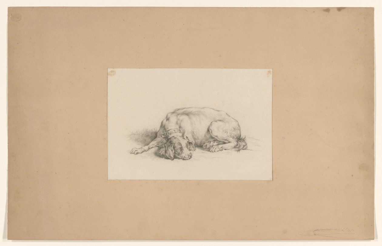 Lying Dog by August Allebe