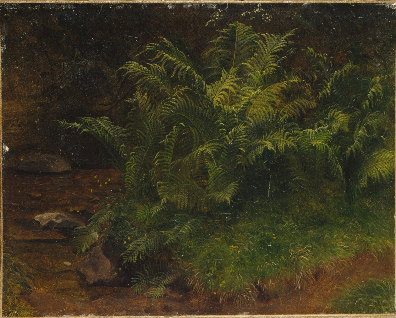 Study of Fern by August Cappelen