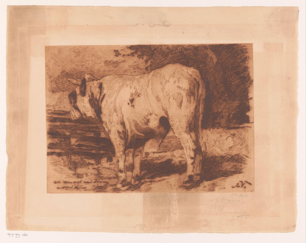 Bull in the Meadow by Auguste Danse (signed by artist)