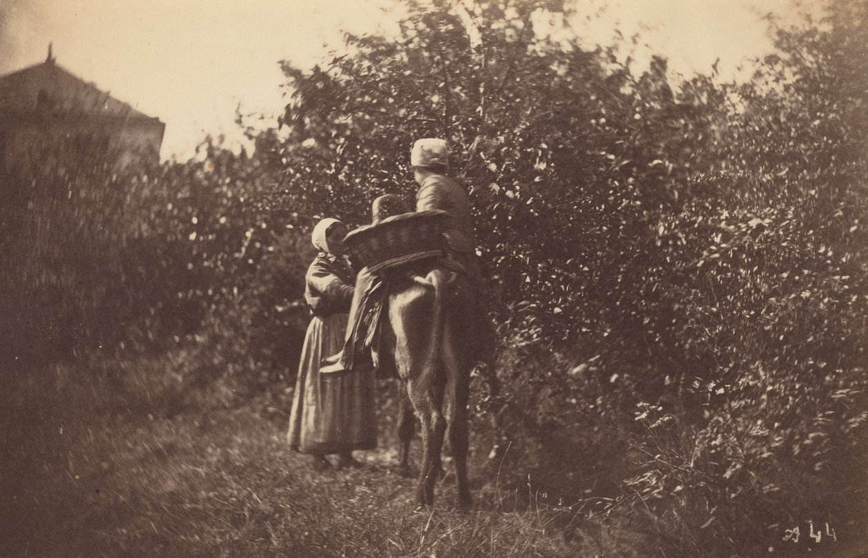 Two Women with Donkey, late 1870s by Auguste Giraudon