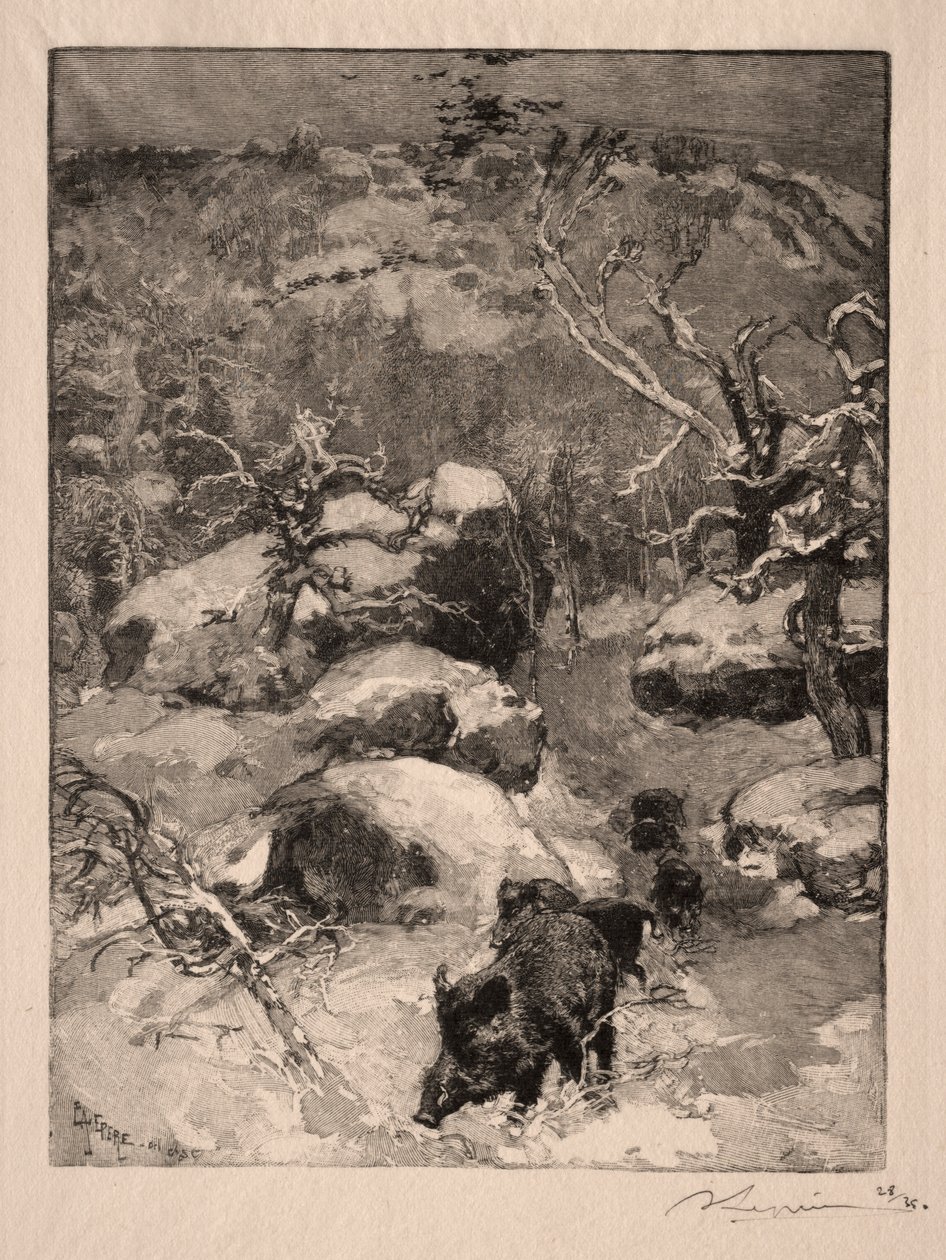 Roche Cuvier Chatillon by Auguste Louis Lepère