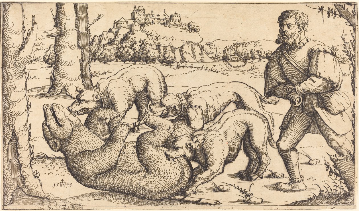 Bear Hunt by Augustin Hirschvogel