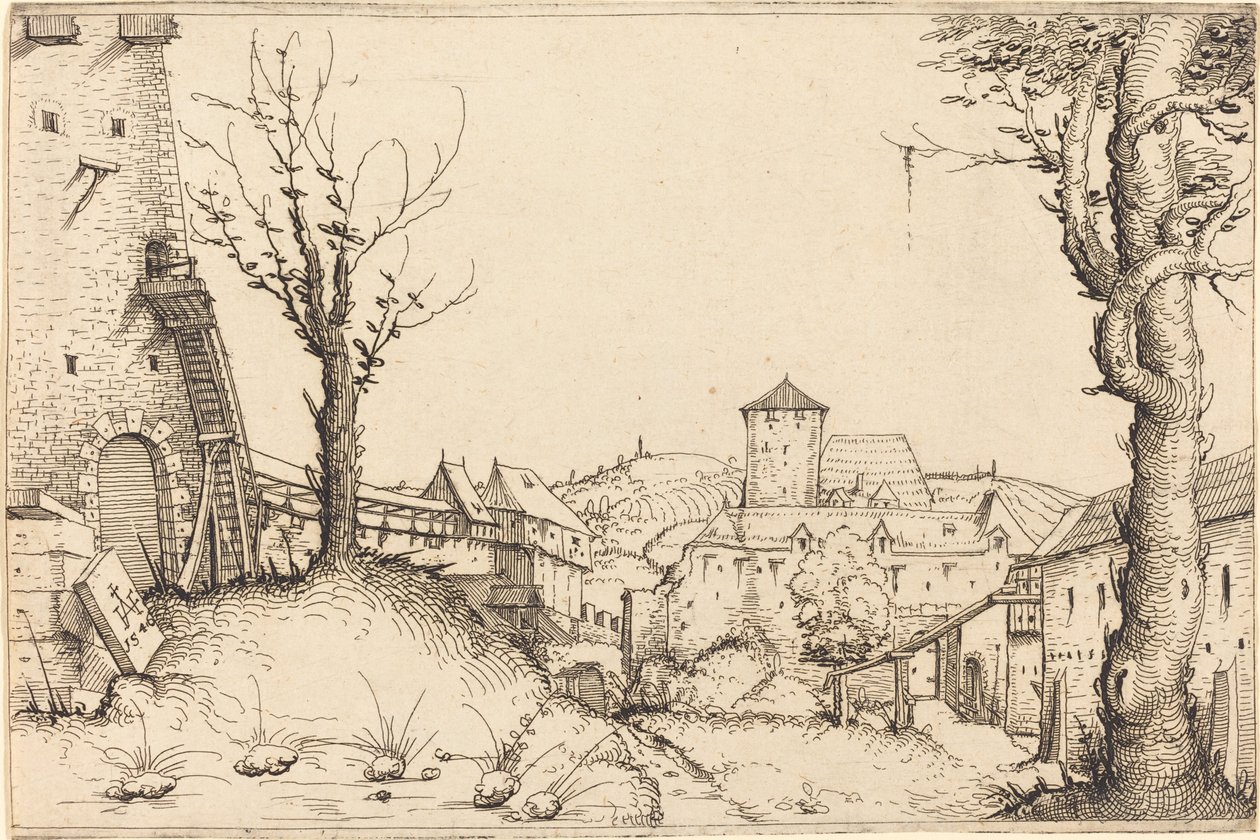 Courtyard of a Castle by Augustin Hirschvogel