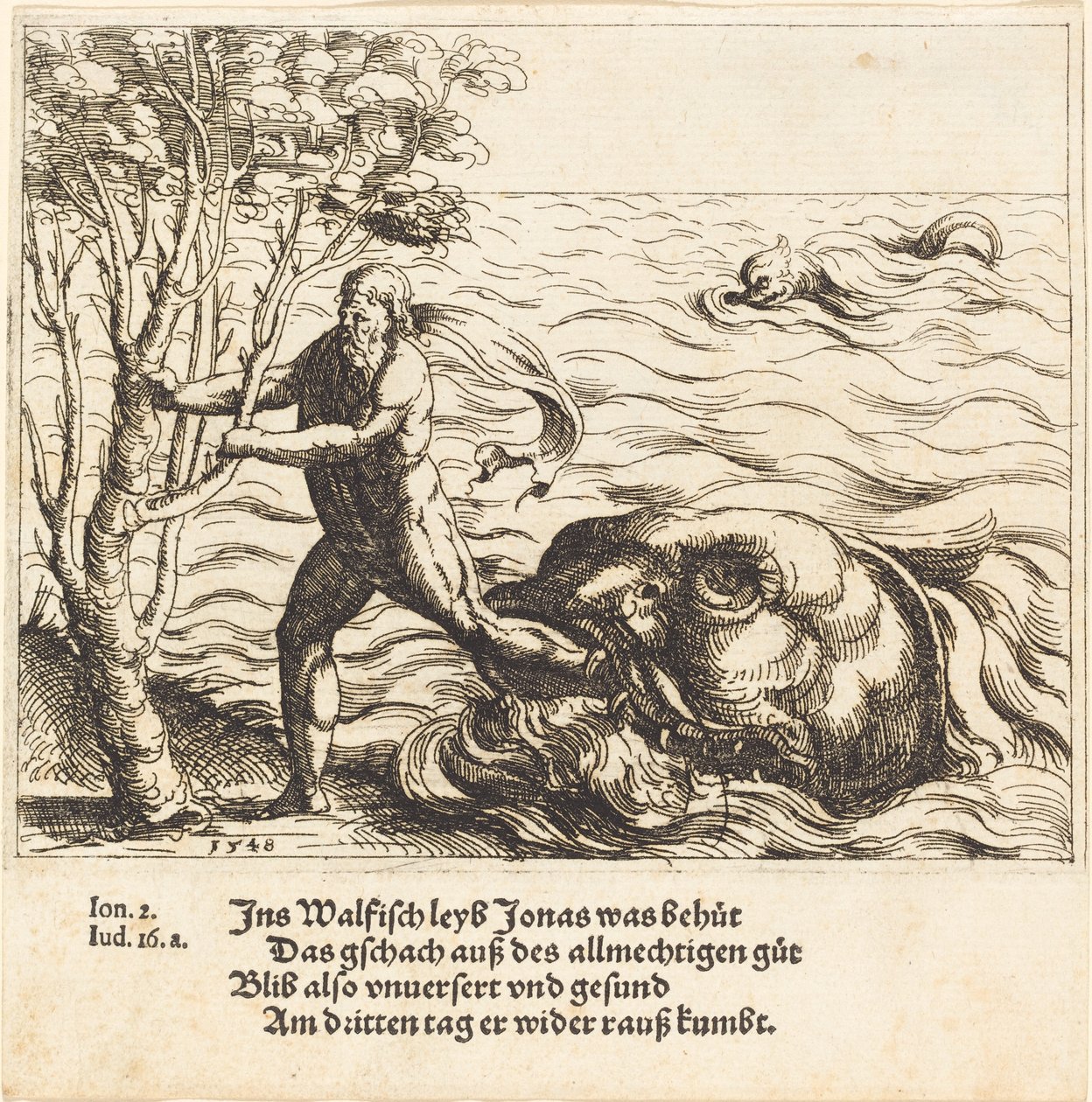 Jonah is Delivered from the Whale by Augustin Hirschvogel