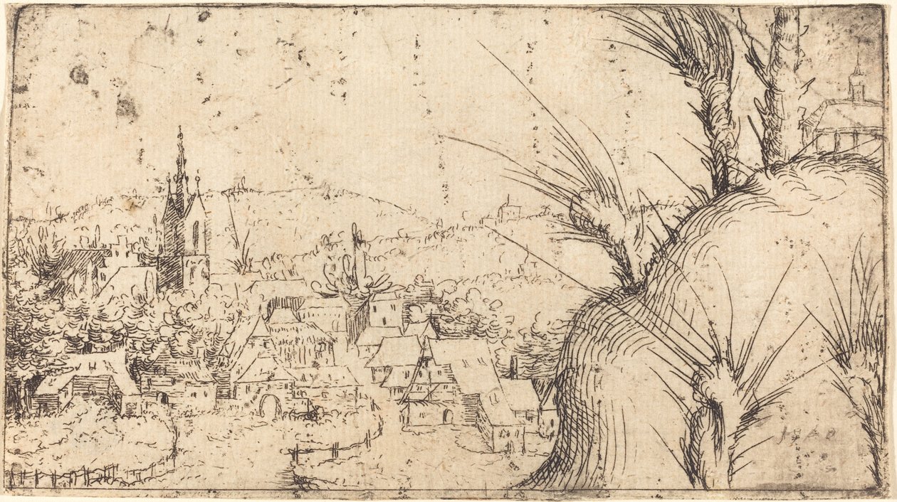 Landscape with a Town at Left, 1549 by Augustin Hirschvogel