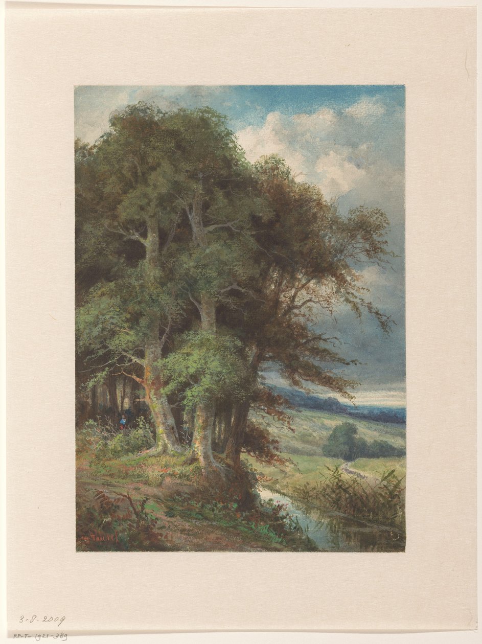 Tall Trees Along a Stream by Augustin Taurel