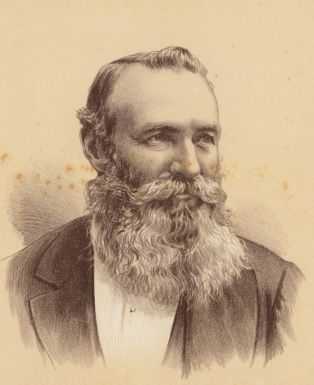 William Alston Hutchinson, Esquire by Australian School