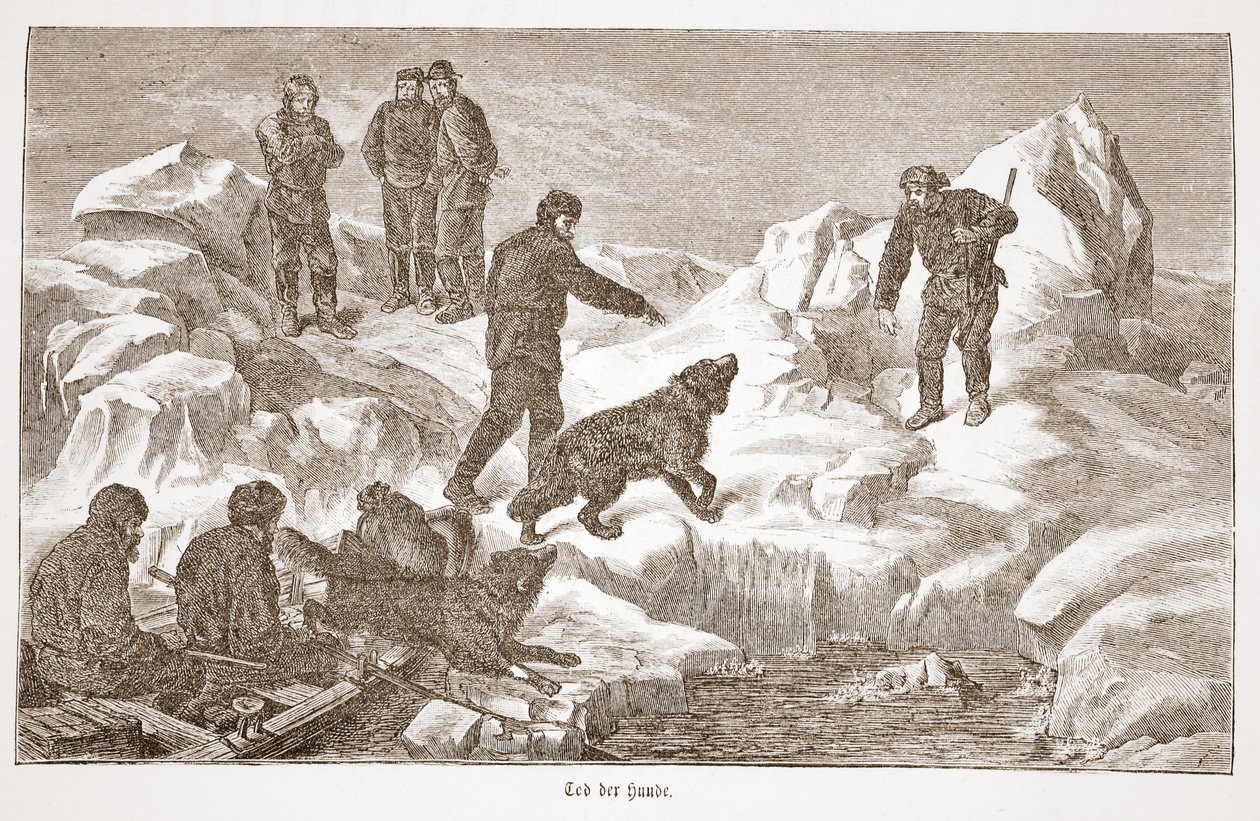 Hunting with dogs, 1876 by Austrian School