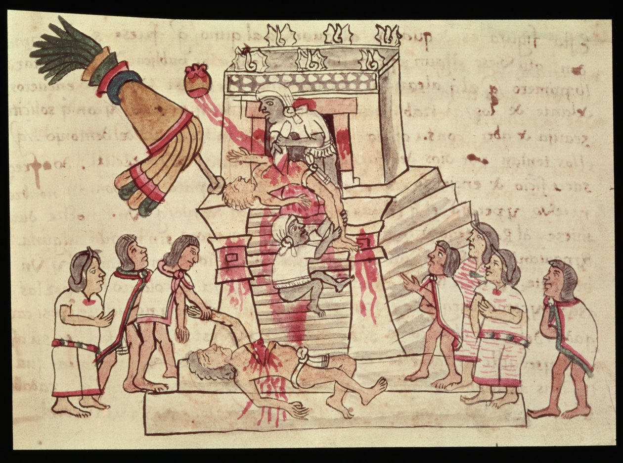 A Human Sacrifice from the Codex Magliabechiano by Aztec