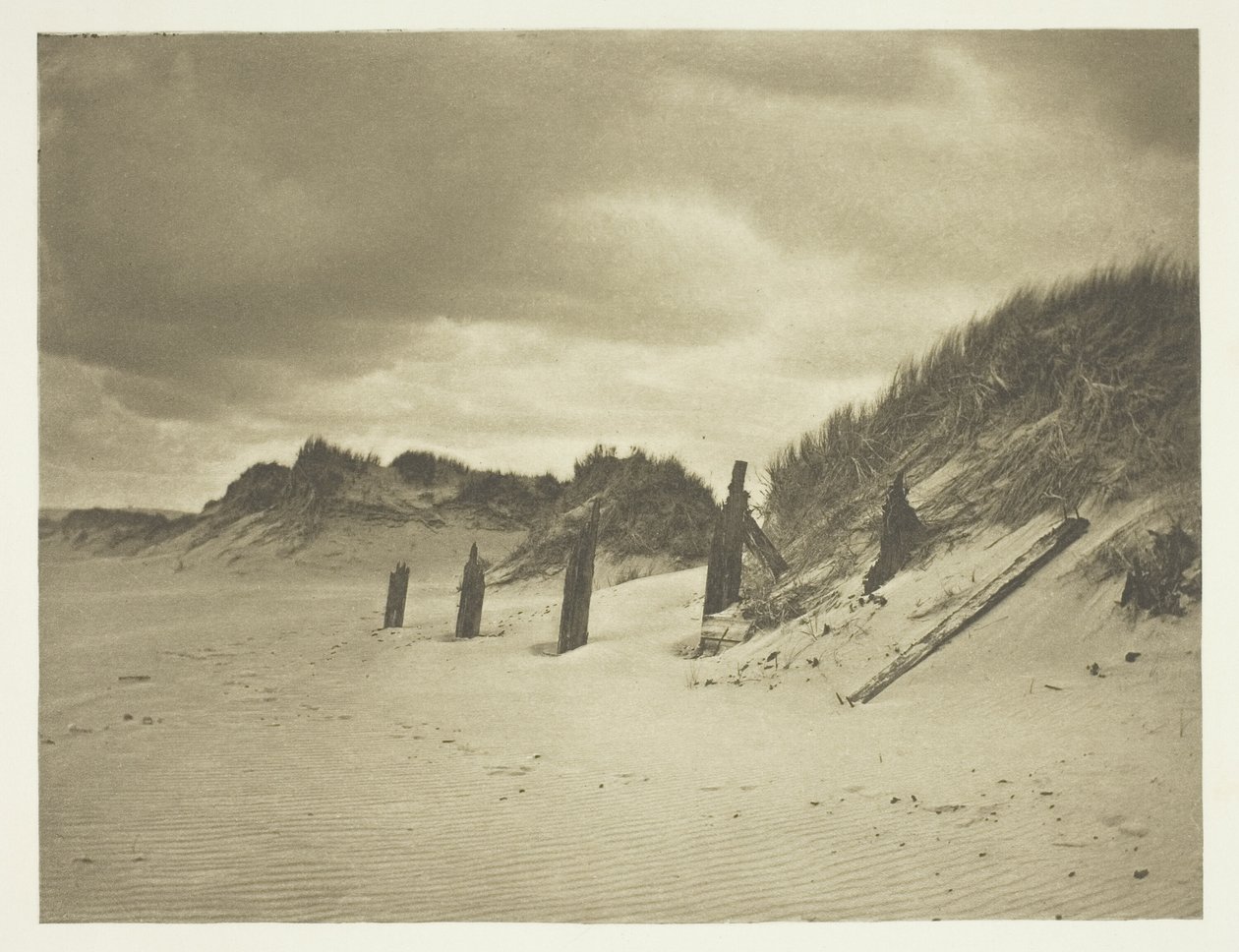 Sand Dunes by B. Gay Wilkinson