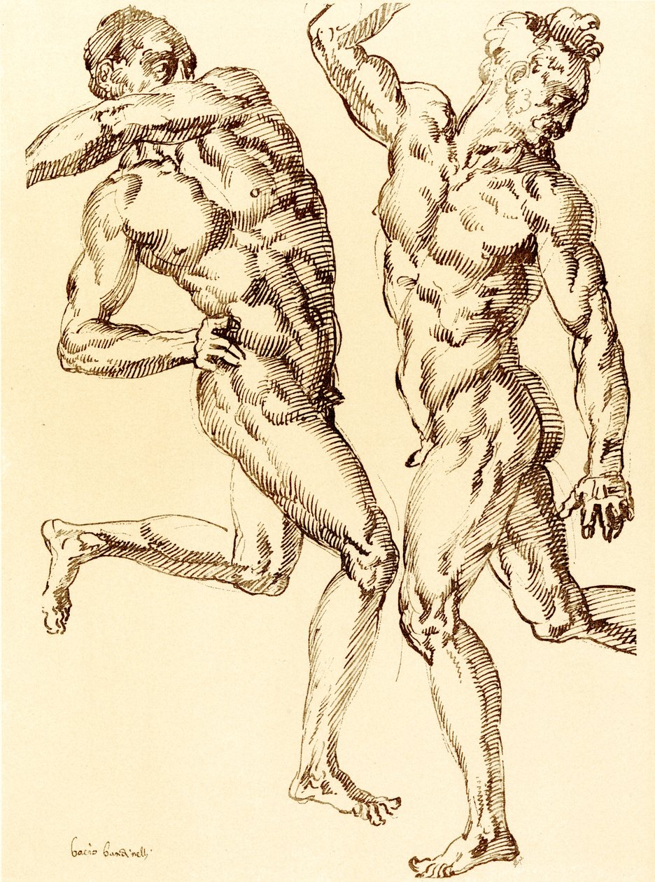 Two Male Nude Studies by Baccio Bandinelli