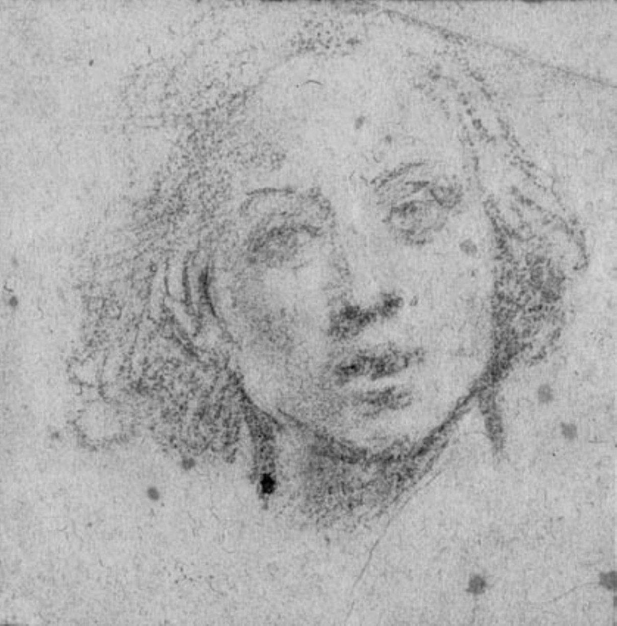 Head of a Young Man by Baldassare Franceschini