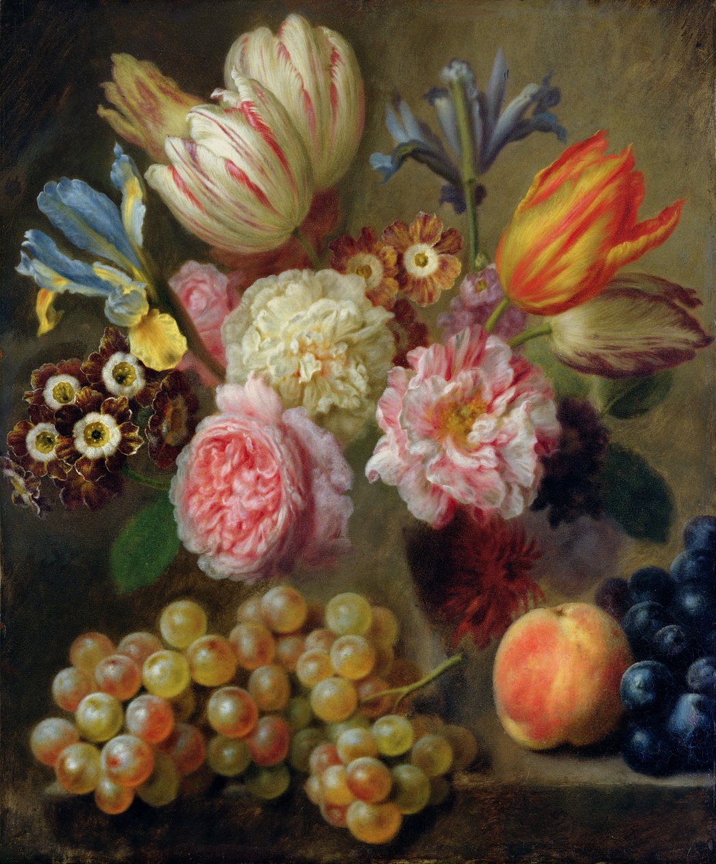 Flower Study by Balthasar Denner
