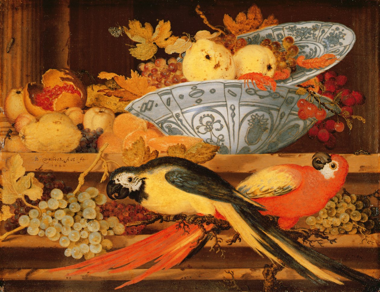 Still Life with Fruit and Macaws by Balthasar van der Ast