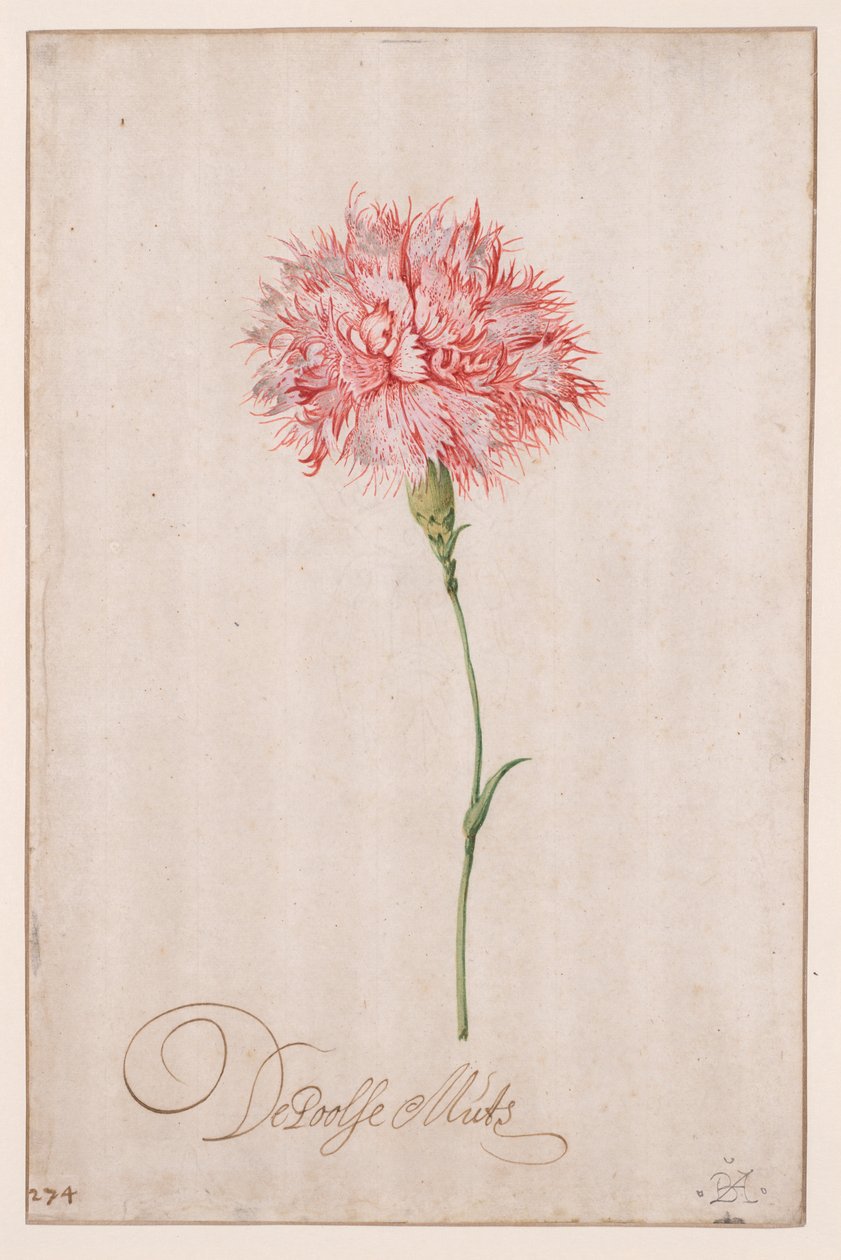 The Polish Cap by Balthasar van der Ast