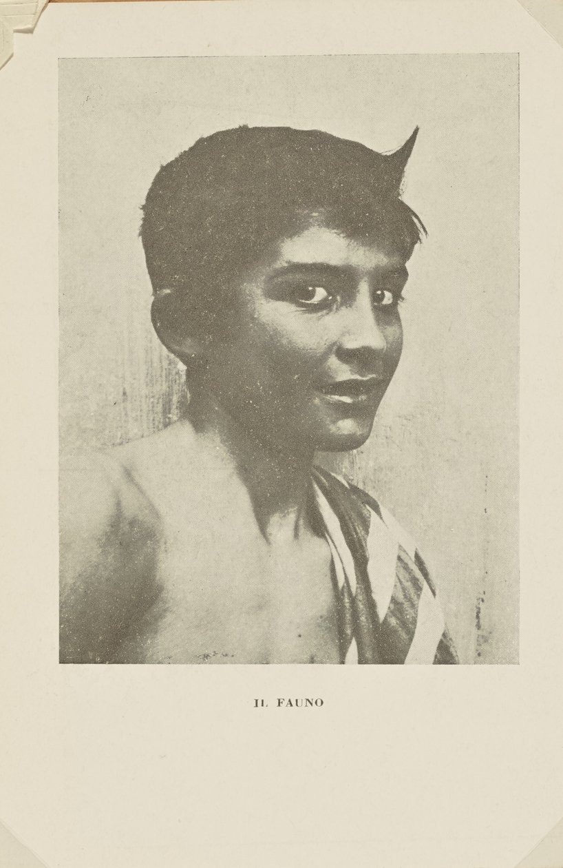 The Faun by Baron Wilhelm von Gloeden