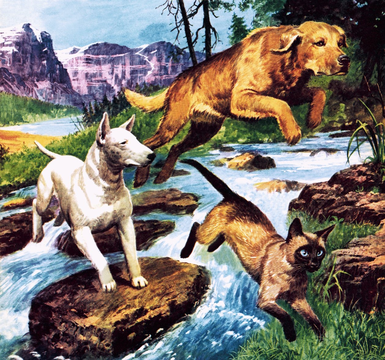 The Long Trek Home by Barrie Linklater