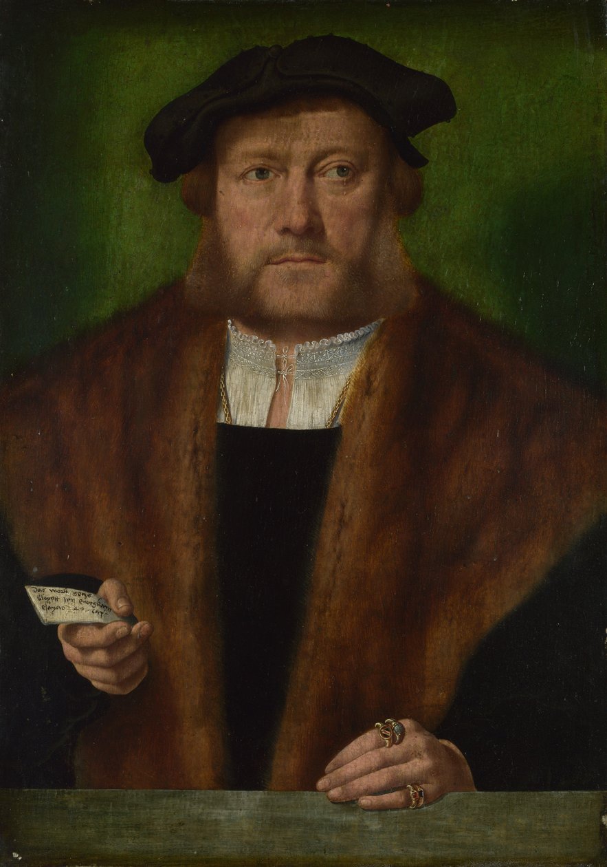 Portrait of a Man by Bartholomaeus Bruyn