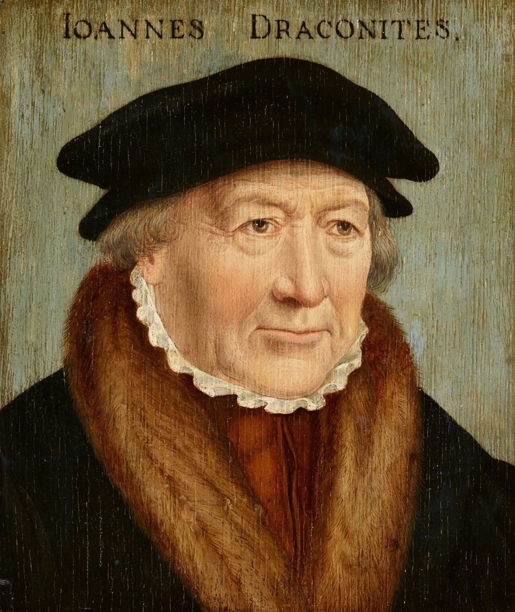 Portrait of Johannes Draconites by Bartholomaeus Bruyn the Elder
