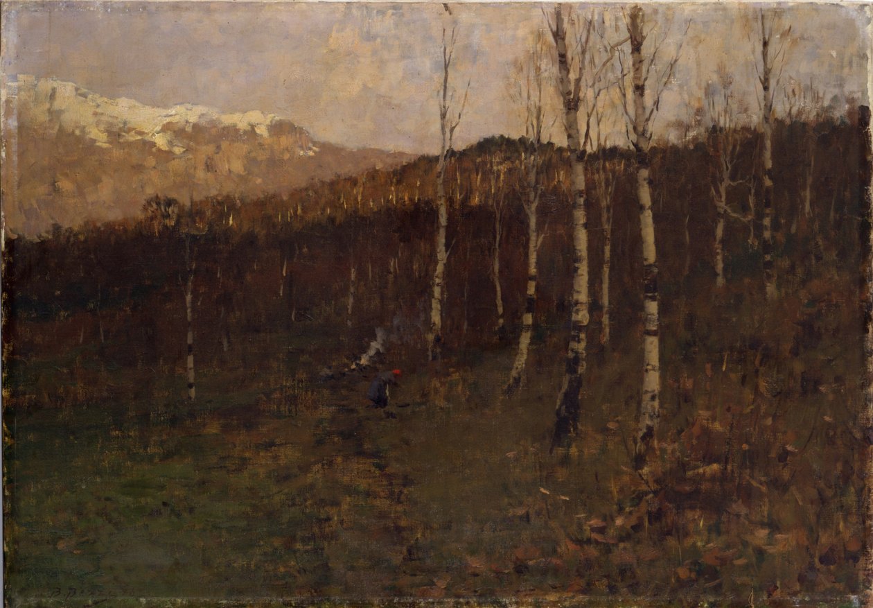 Coppice Birch Forest by Bartolomeo Bezzi