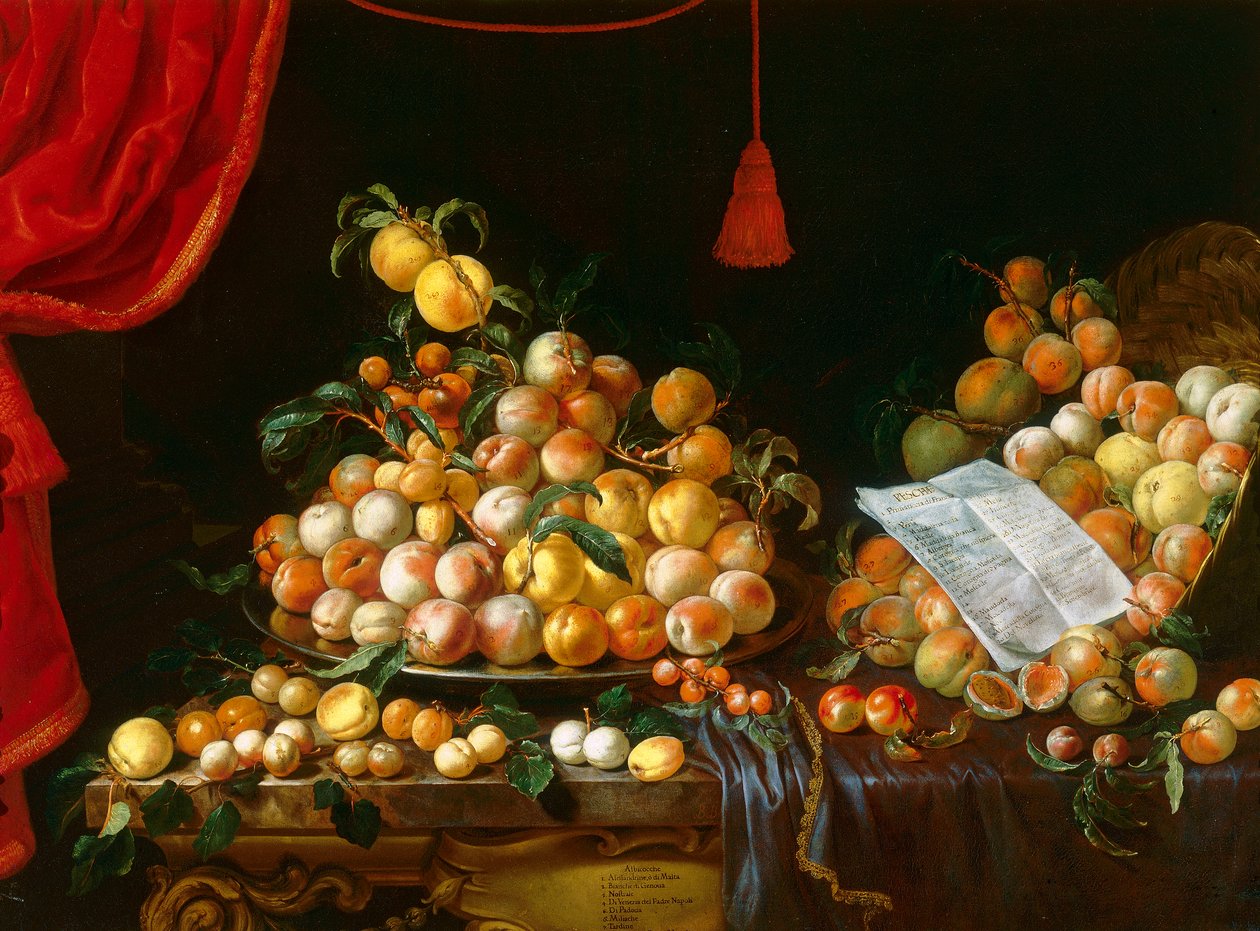 Peaches and apricots by Bartolomeo Bimbi