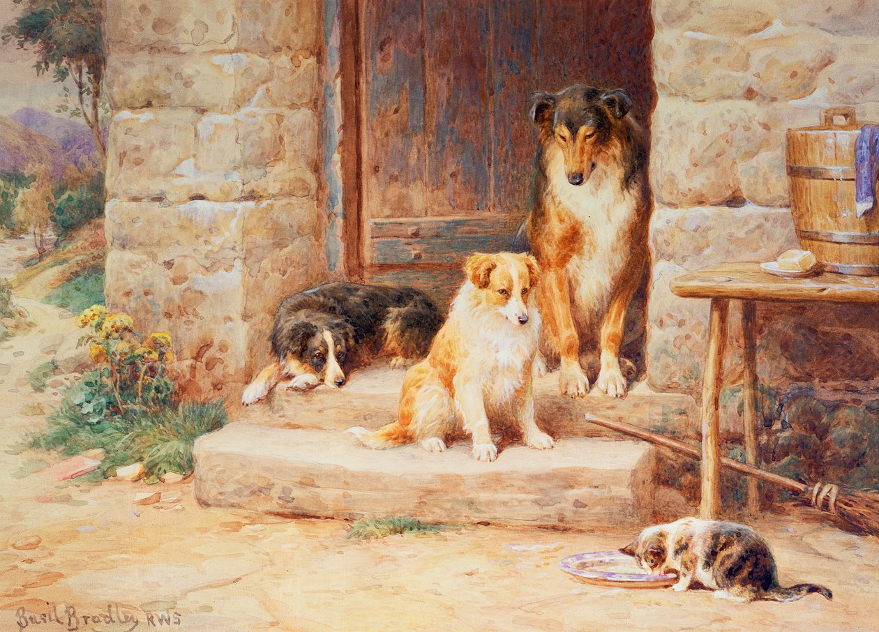 Live and Let Live by Basil Bradley