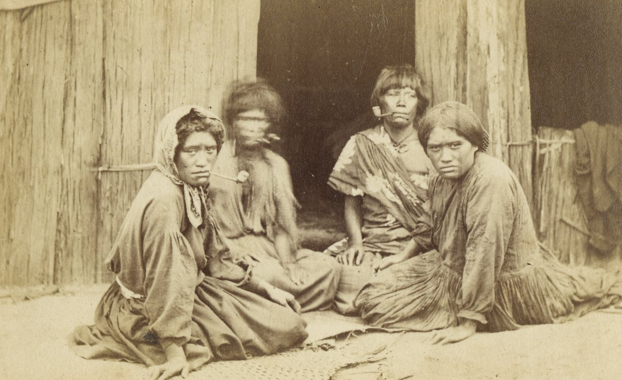 Group of Maori Women Outside a Whare, c.1865 by Batt and Richards