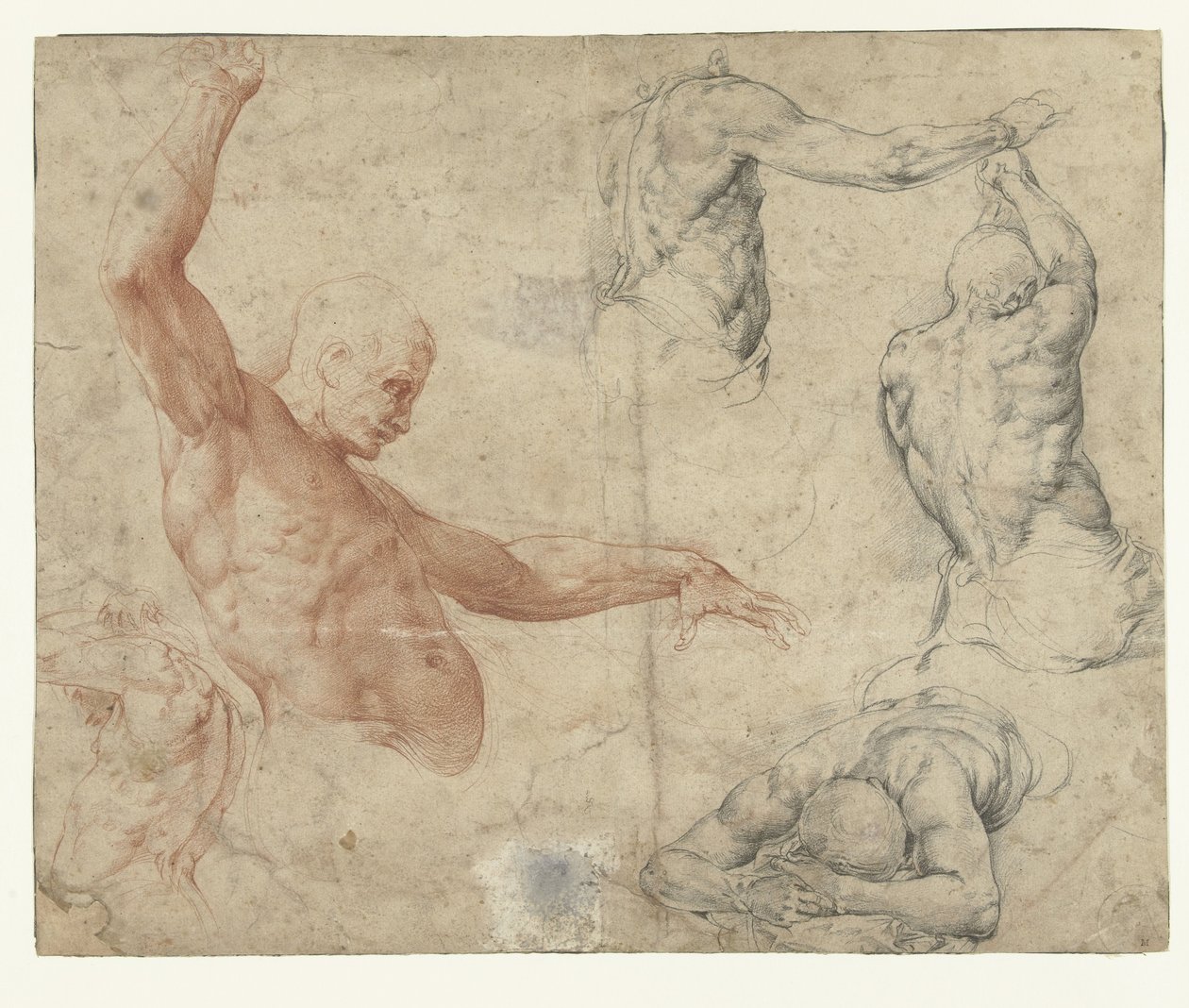 Nude Studies of a Man by Battista Franco