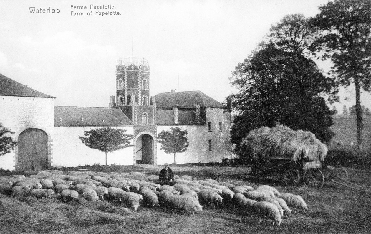 Farm of Papelotte, an Important Strategic Site for Wellington During the Battle of Waterloo, Commemorative Postcard, c.1912 by Belgian Photographer