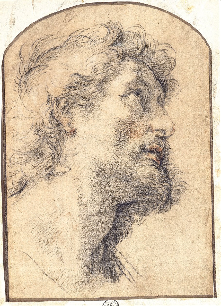 Study of the Head of Saint Crispin by Benedetto Luti