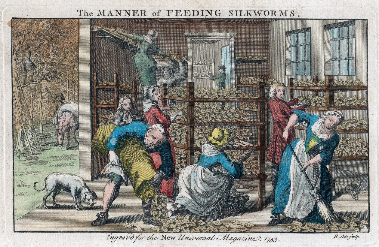 The Manner of Feeding Silkworms, 1753 by Benjamin Cole
