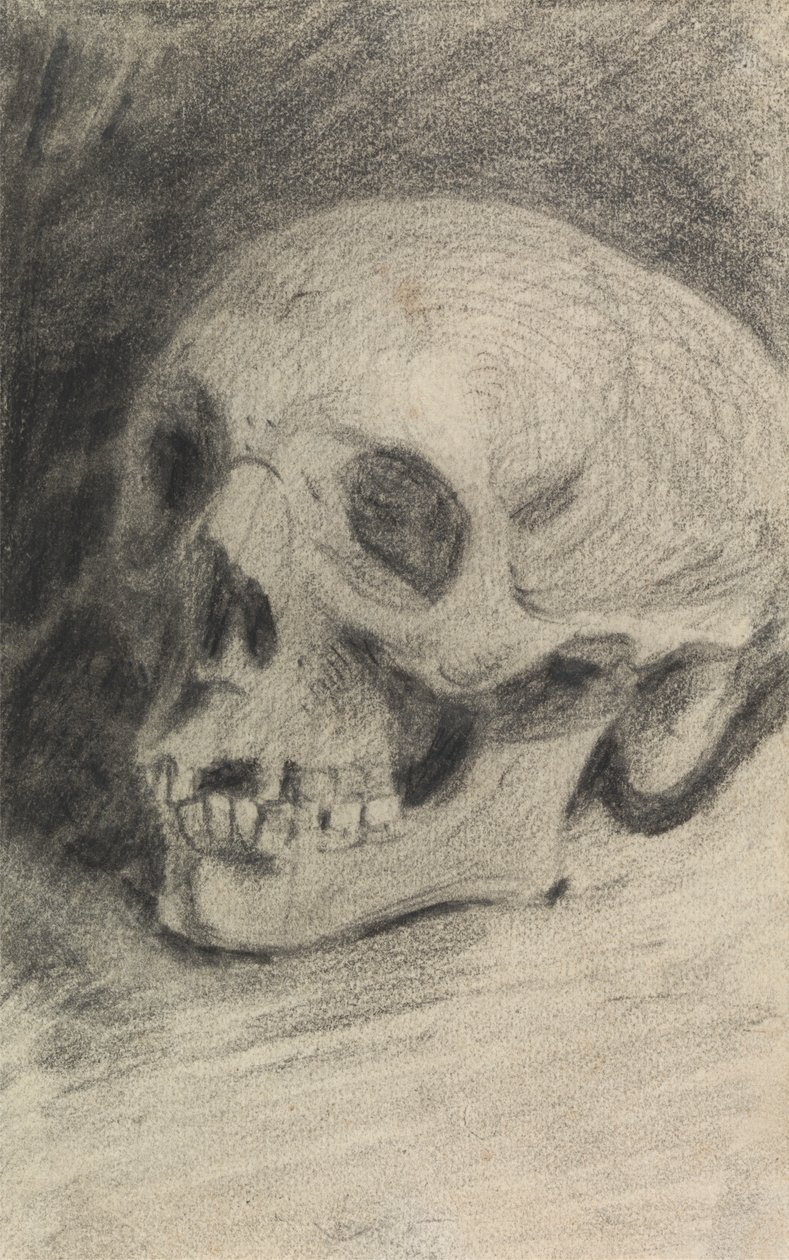 Study of a Skull by Benjamin Robert Haydon