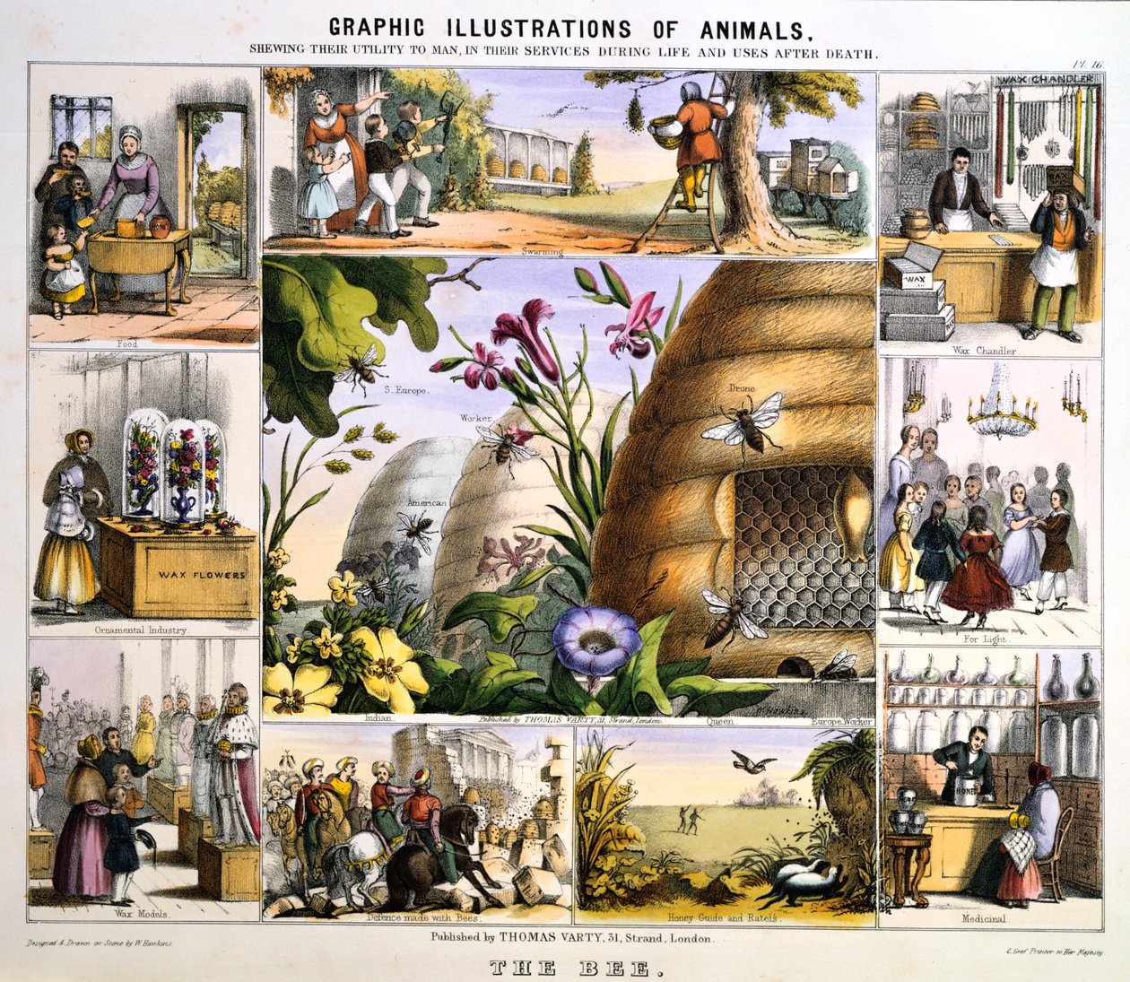 The Bee by Benjamin Waterhouse Hawkins