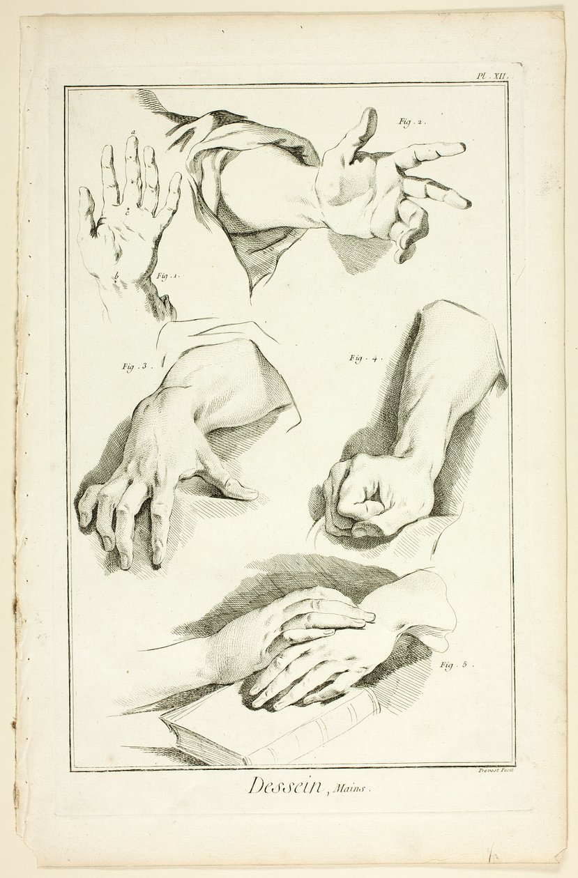 Design: Hands, from Encyclopédie by Benoit Louis Prevost